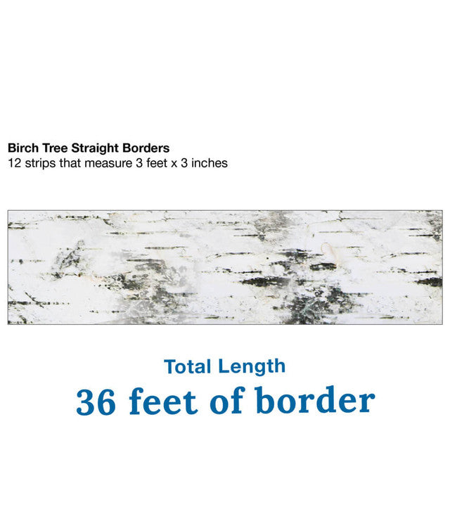 Birch Tree Straight Bulletin Board Borders