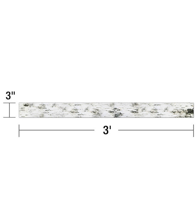 Birch Tree Straight Bulletin Board Borders