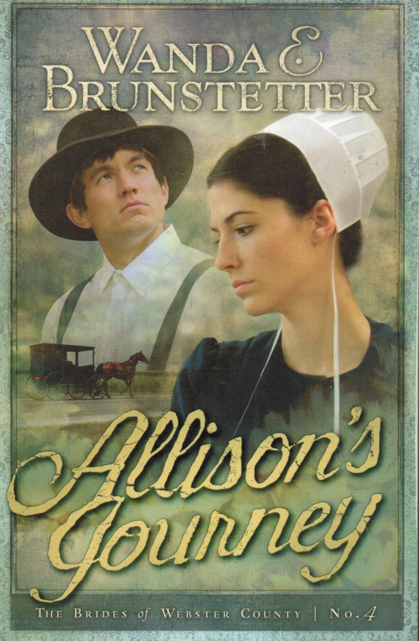 Allison's Journey