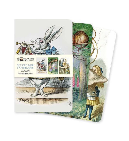 Alice in Wonderland Set of 3 Mini Notebooks