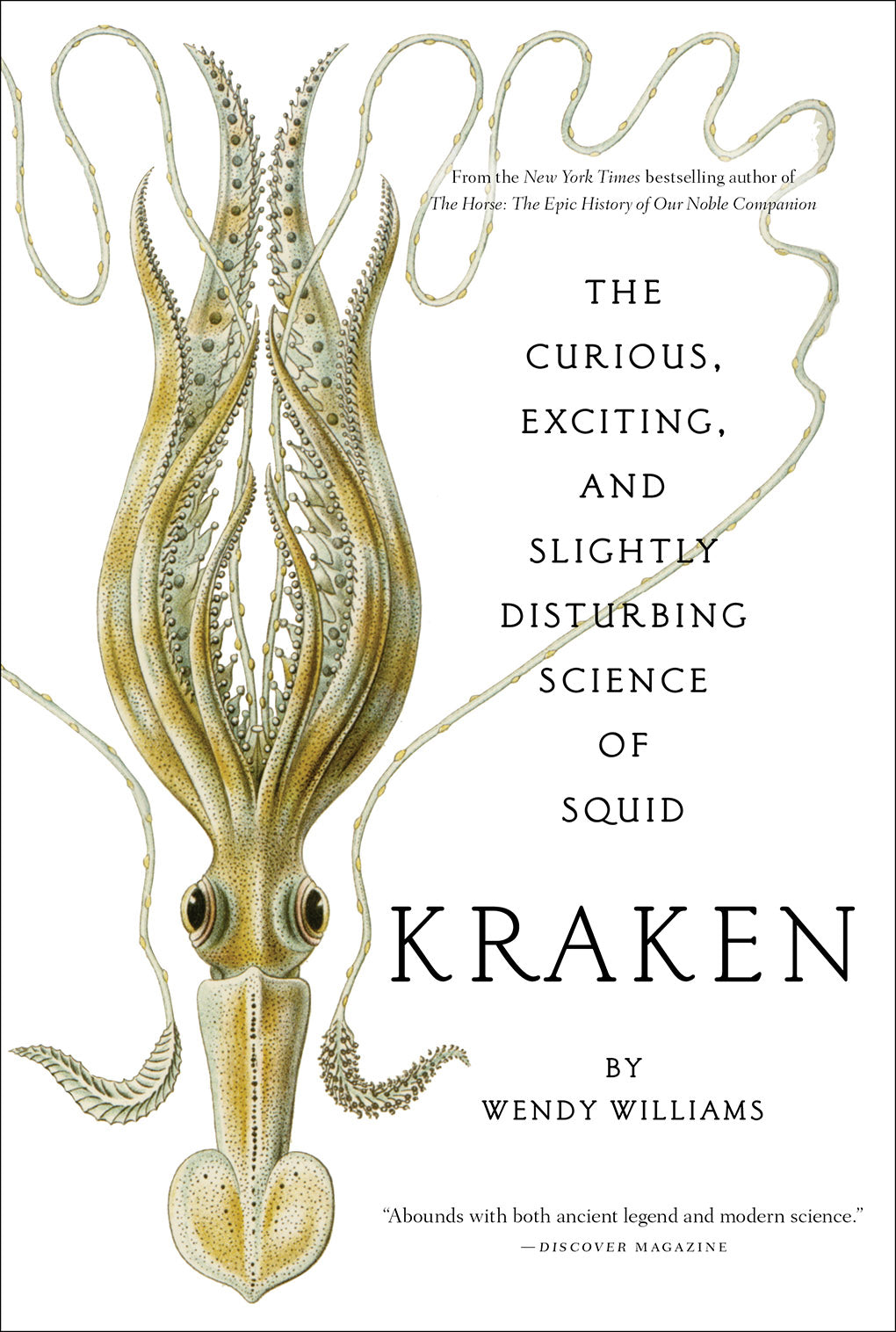Kraken