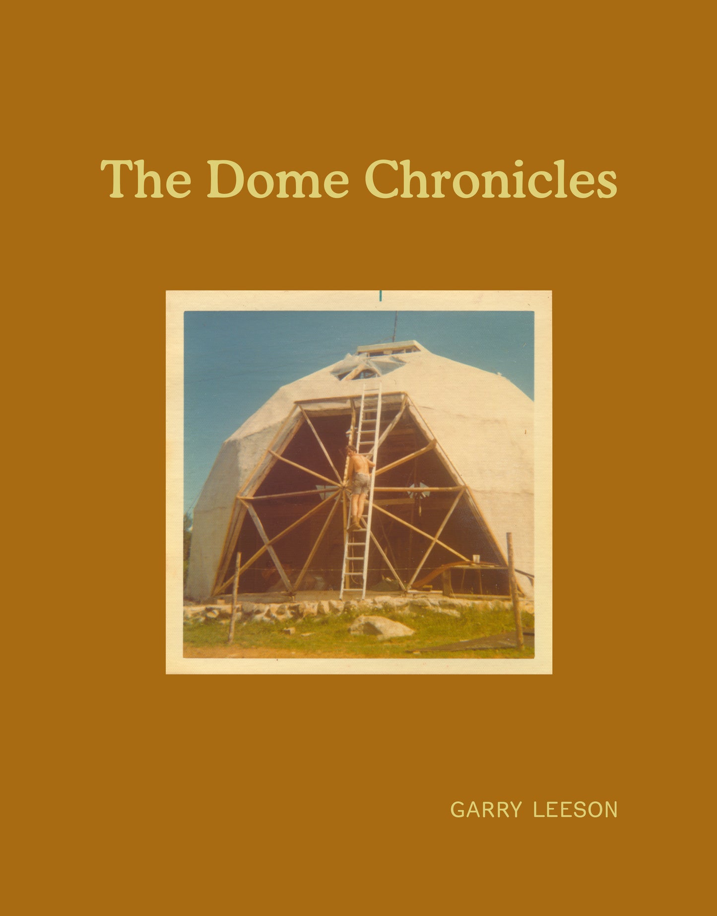 The Dome Chronicles