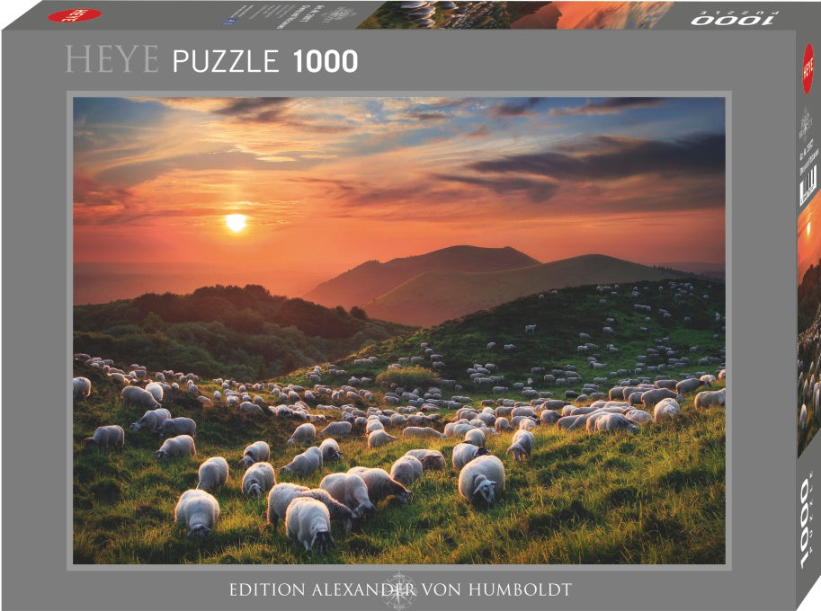 1000 Heye Sheep and Volcanoes
