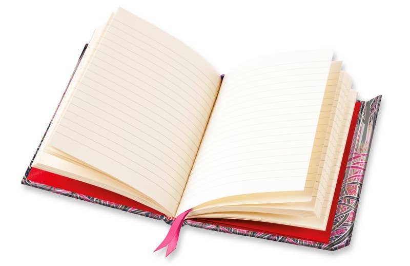 Annie Soudain: Rising Mist Journal