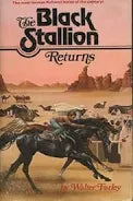 The Black Stallion Returns