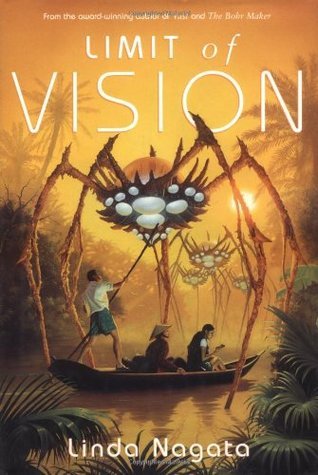 Limit of Vision