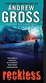 Gross, Andrew: Reckless (Ty Hauck #3)