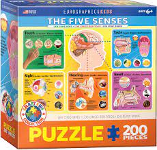 The Five Senses 200