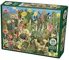 Cactus Garden