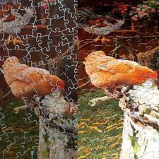 CobbleHill Puzzle Glue