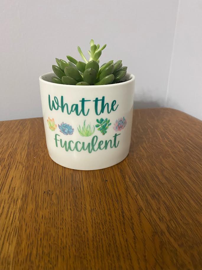 Succulent Planter