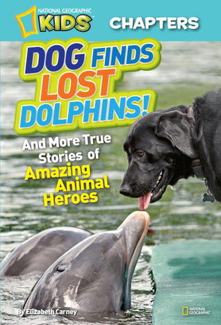 Dog Finds Lost Dolphins: And More True Stories of Amazing Animal Heroes