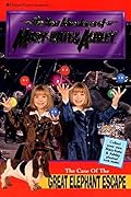 Adventures and New Adventures of Mary Kate & Ashley 27 Book Set