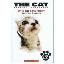 The Cat: Why Do Cats Purr? and Other True Facts