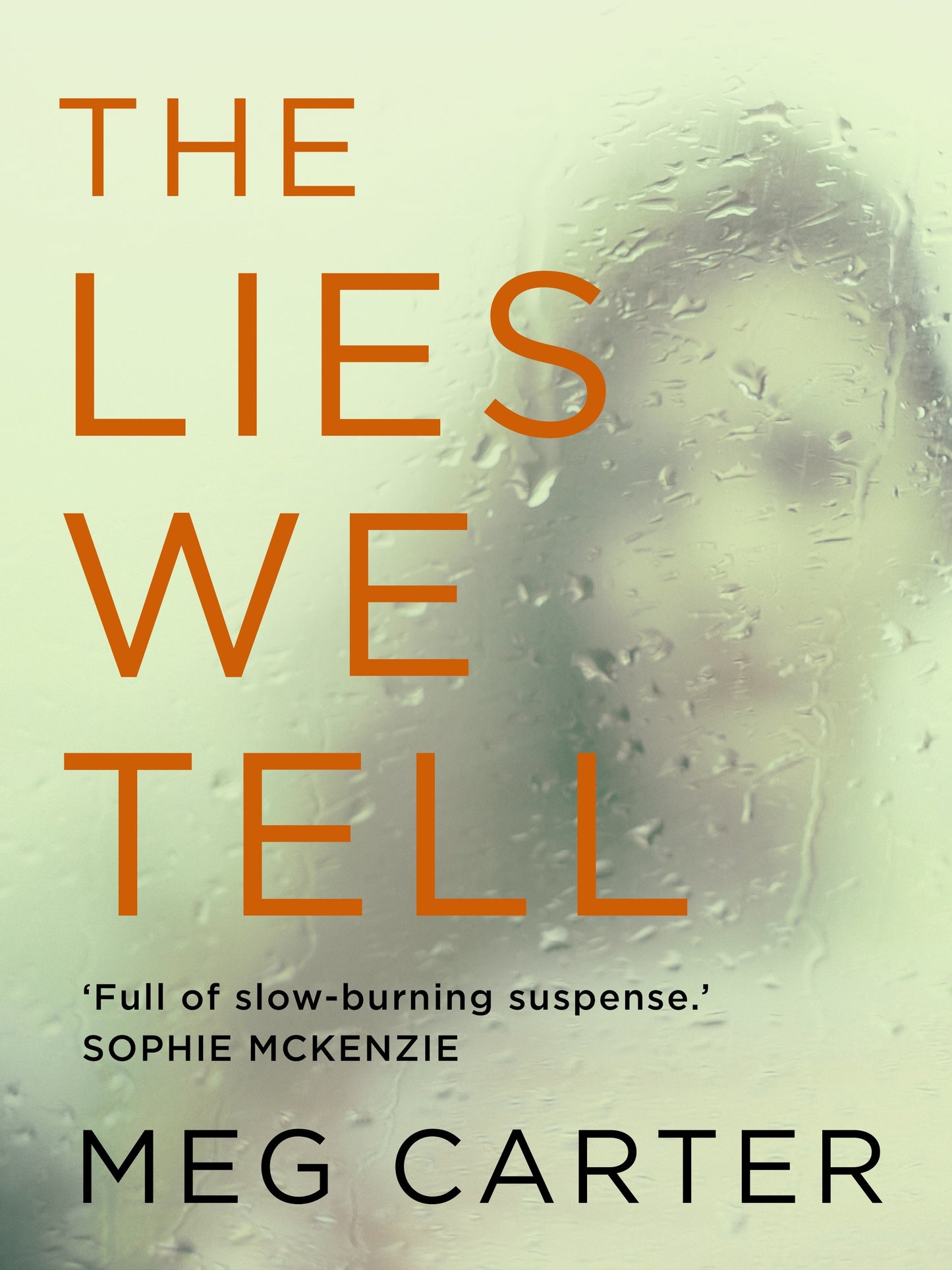 The Lies We Tell  Meg Carter