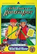 Adventures and New Adventures of Mary Kate & Ashley 27 Book Set