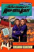 Adventures and New Adventures of Mary Kate & Ashley 27 Book Set