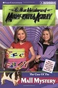Adventures and New Adventures of Mary Kate & Ashley 27 Book Set