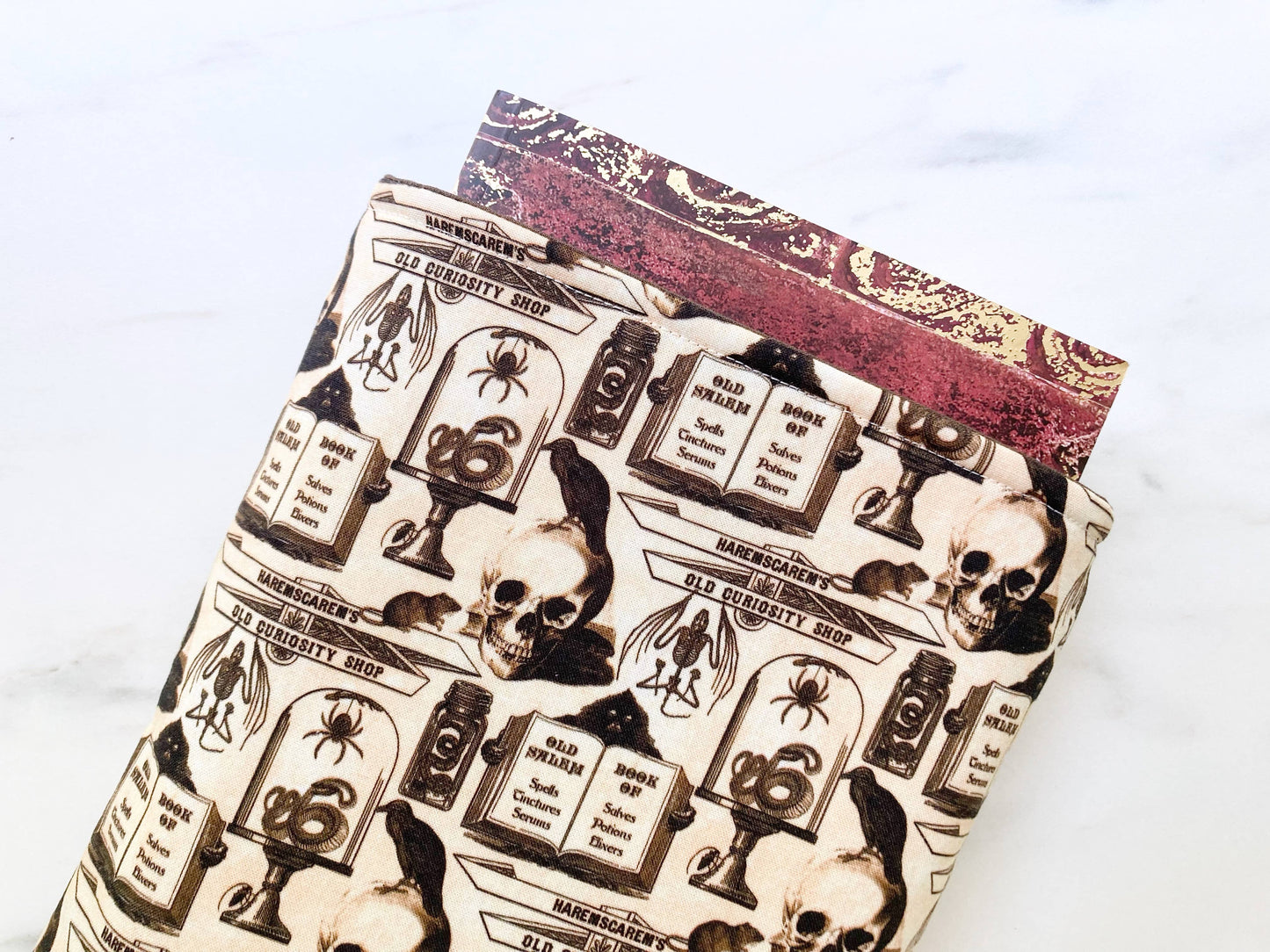 Curiosity shoppe - padded book sleeve, book pouch: Small