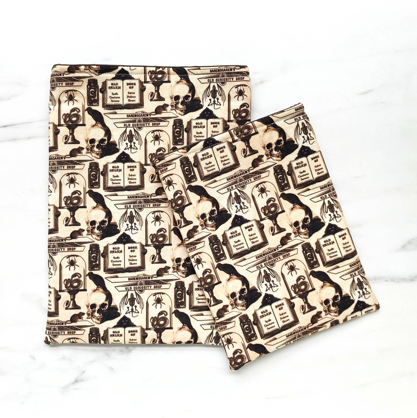 Curiosity shoppe - padded book sleeve, book pouch: Small