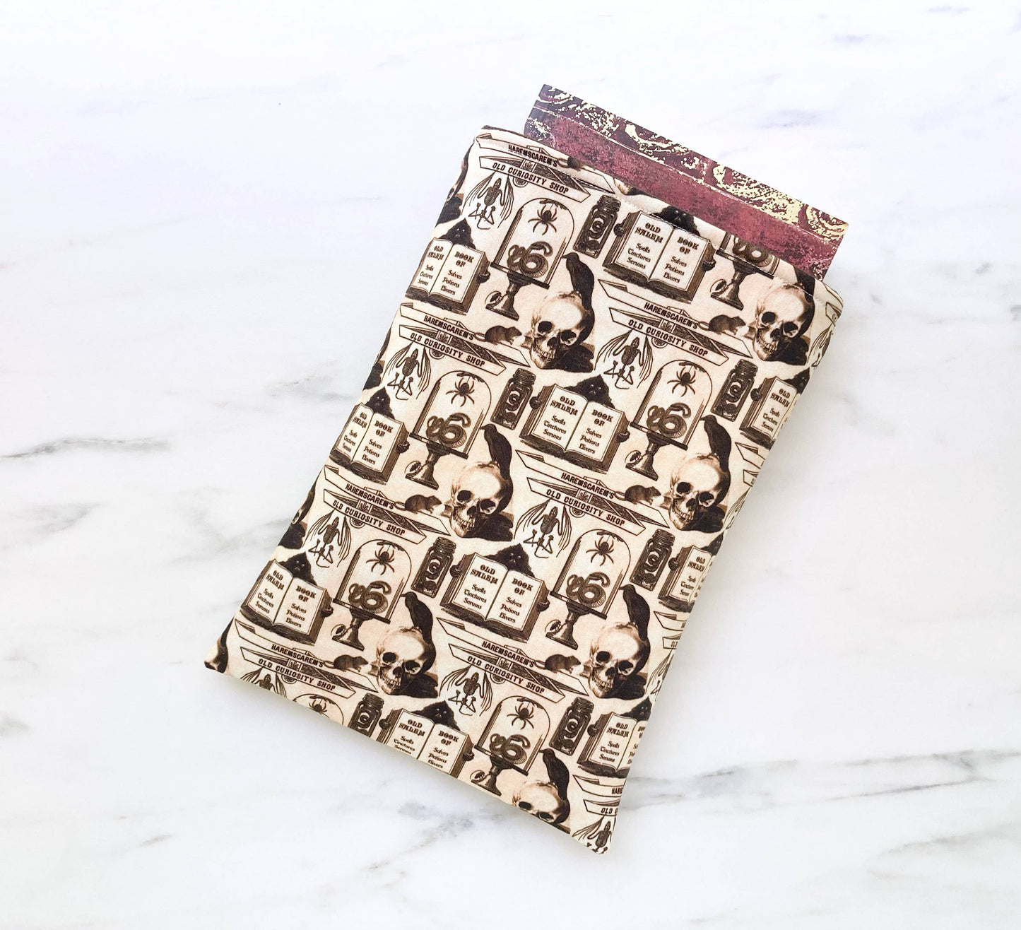 Curiosity shoppe - padded book sleeve, book pouch: Small