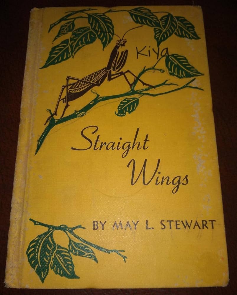 Straight Wings