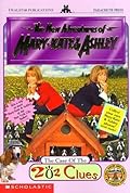 Adventures and New Adventures of Mary Kate & Ashley 27 Book Set