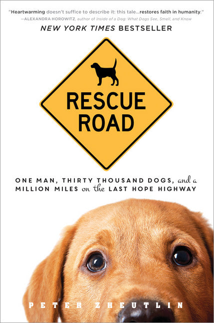 Rescue Road