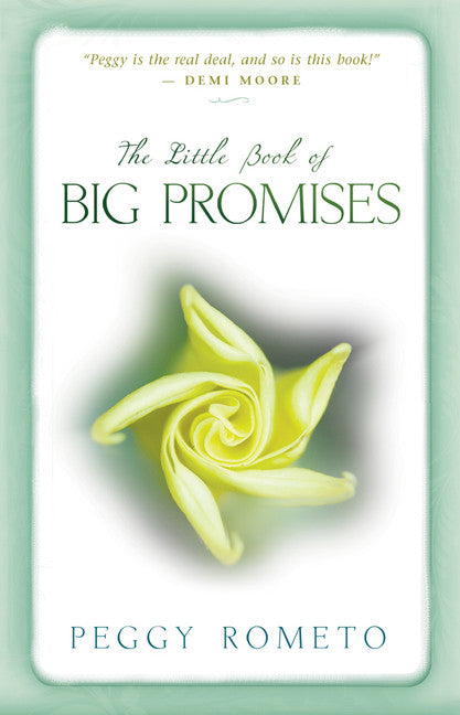 The Little Book of Big Promises