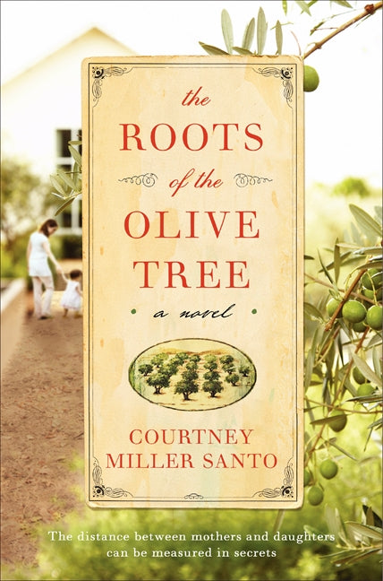 The Roots Of The Olive Tree