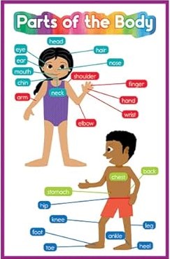 Early Learning PK-2 Parts of the Body Poster