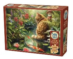 Koi Cat