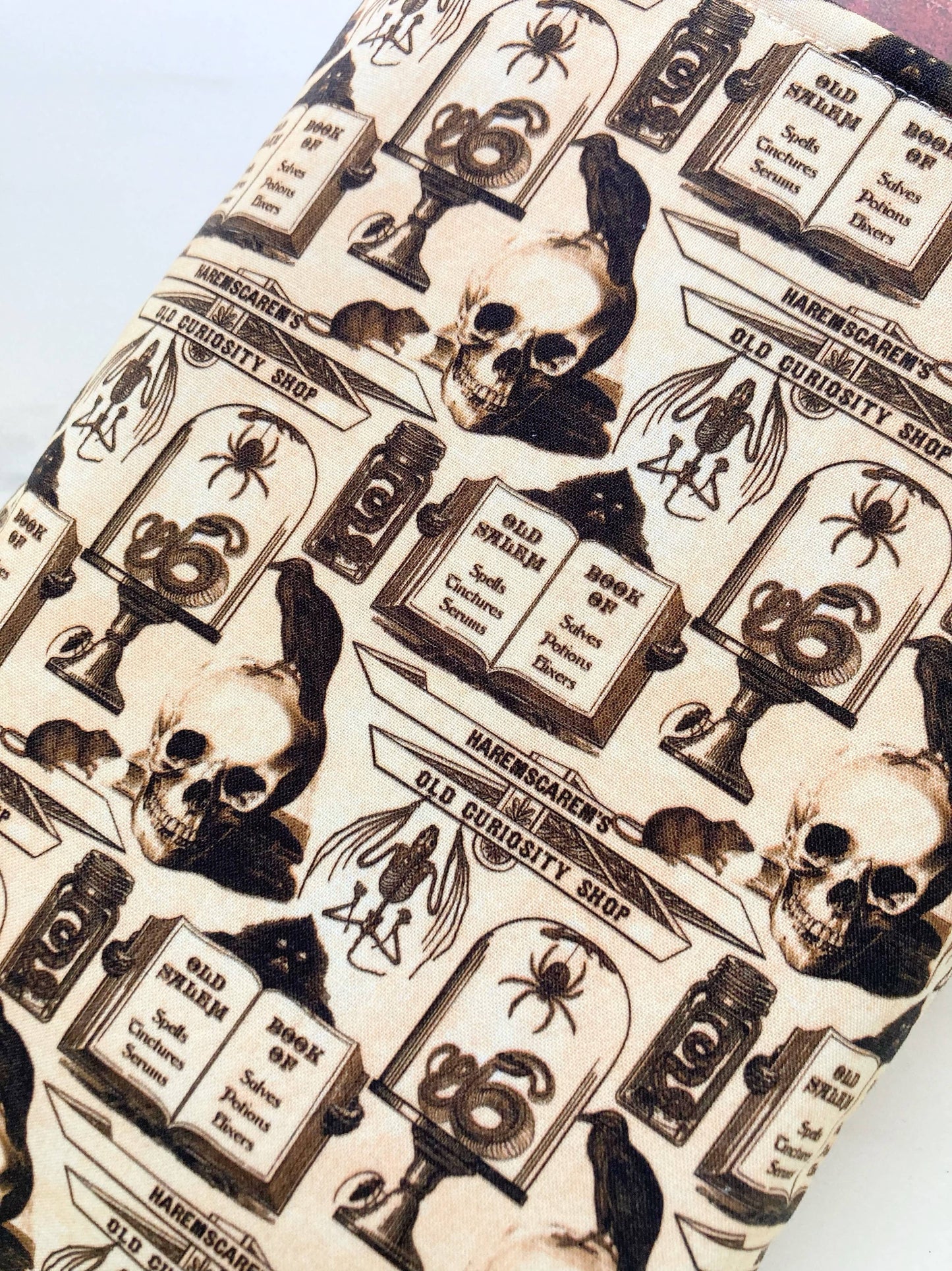 Curiosity shoppe - padded book sleeve, book pouch: Small