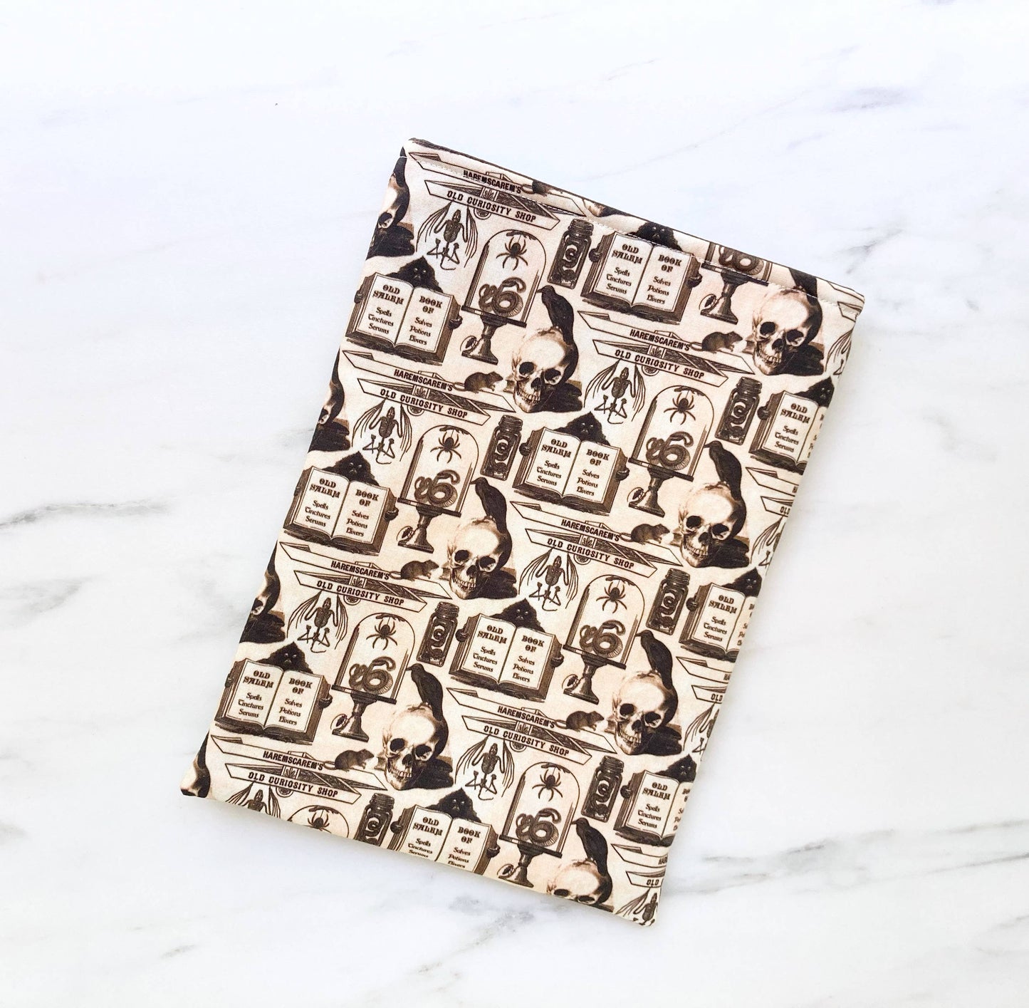Curiosity shoppe - padded book sleeve, book pouch: Small