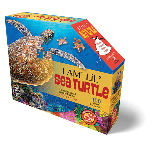 I AM Lil'Sea Turtle (100 pc)