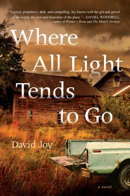 Joy, David: Where Light Tends to Go