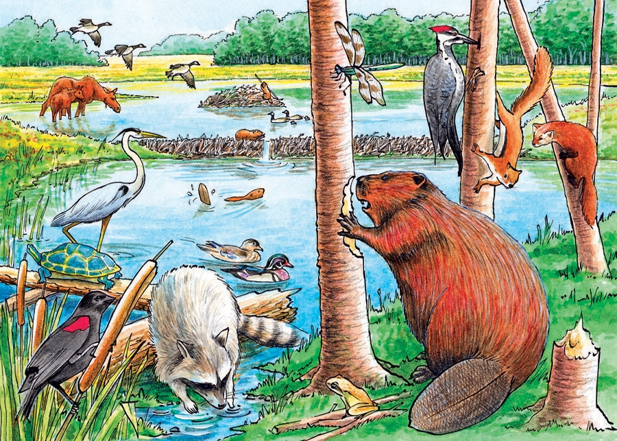 The Beaver Pond (tray)