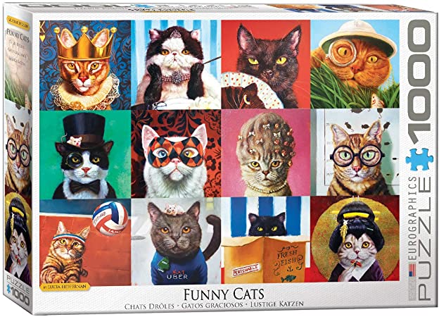 Funny Cats by Lucia Heffernan