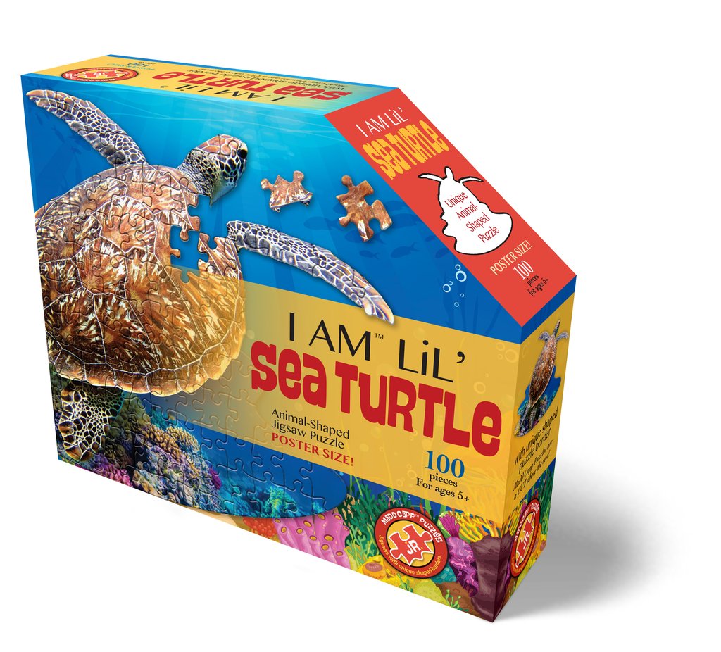 I AM lil' Sea Turtle 100pc