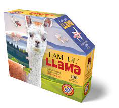 I AM lil' Llama 100