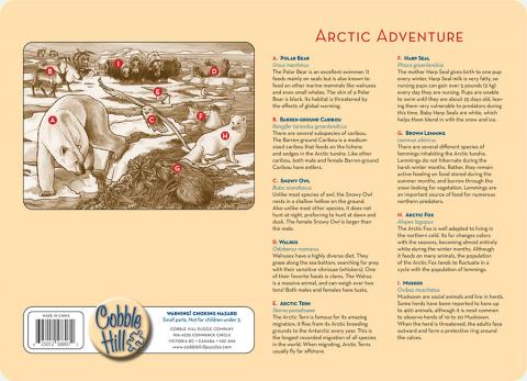Arctic Adventure (tray)
