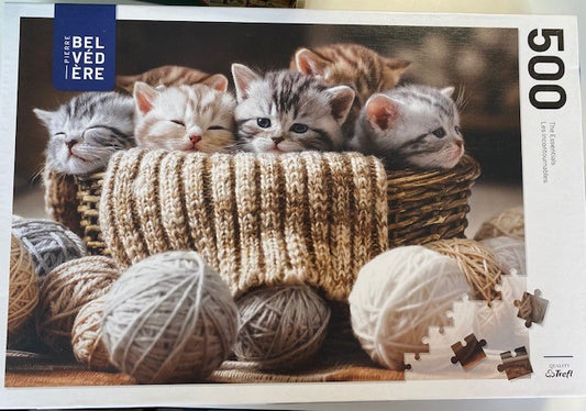 Kitten Basket